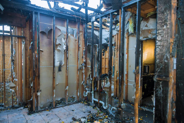 Professional Smoke Damage Removal technician working in Black Jack, MO